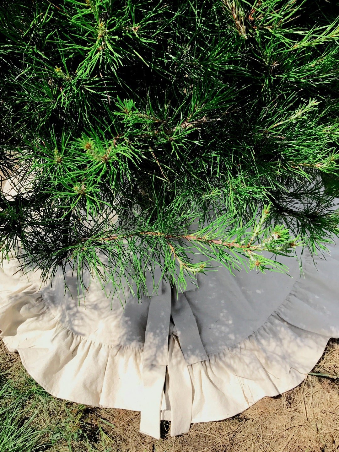 Pine branches over the natural ruffled tree skirt, sash ties visible at the front in afternoon sun