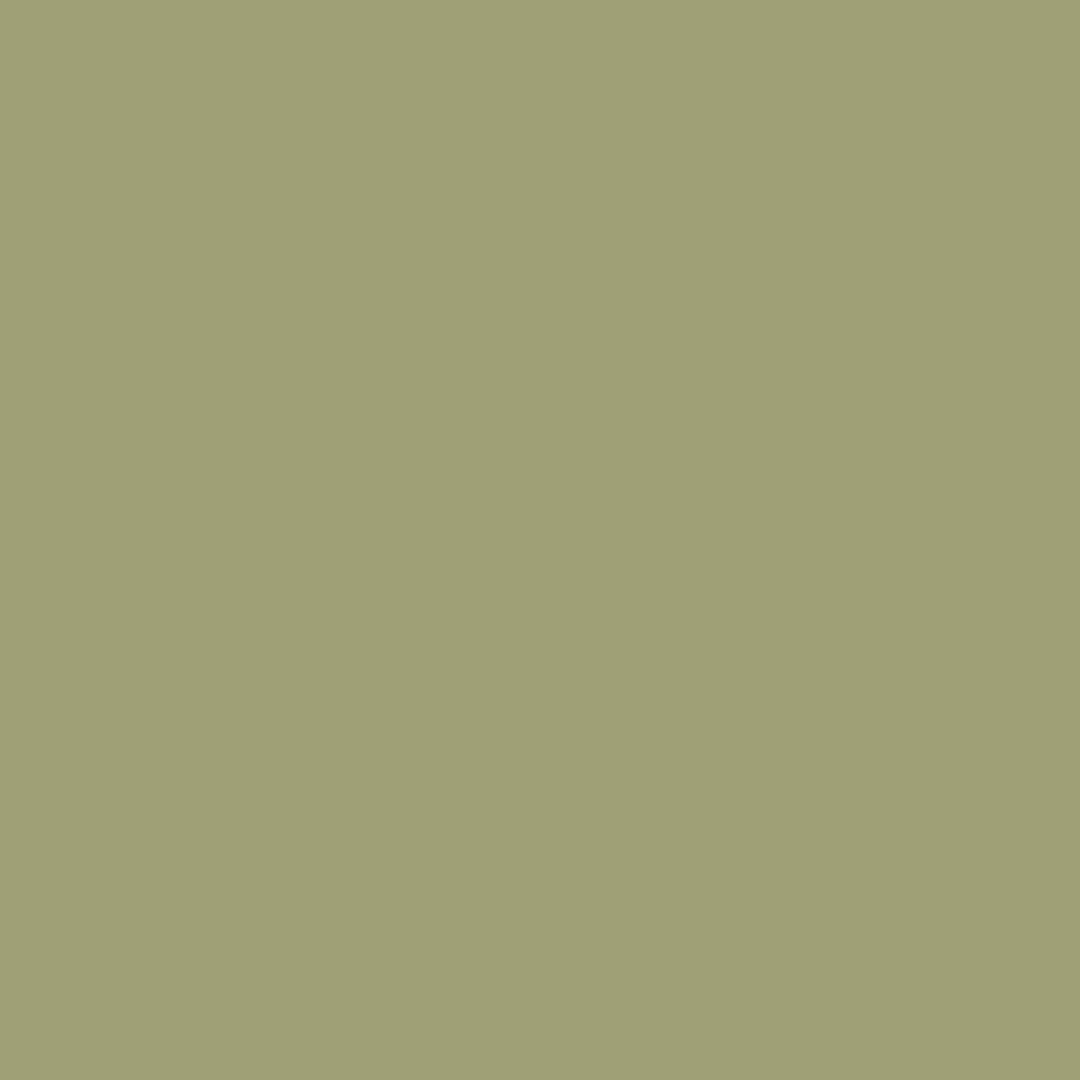 sage green washed cotton fabric swatch by High Cotton Textile